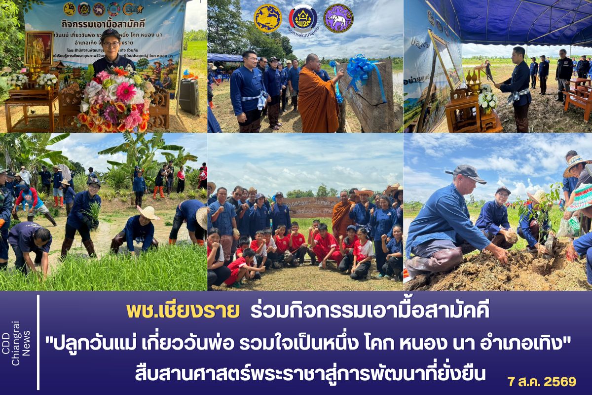 พช.เชียงราย ร่วมกิจกรรมเอามื้อสามัคคี "ปลูกวันแม่ เกี่ยววันพ่อ รวมใจเป็นหนึ่ง โคก หนอง นา อำเภอเทิง" สืบสานศาสตร์พระราชาสู่การพัฒนาที่ยั่งยืน