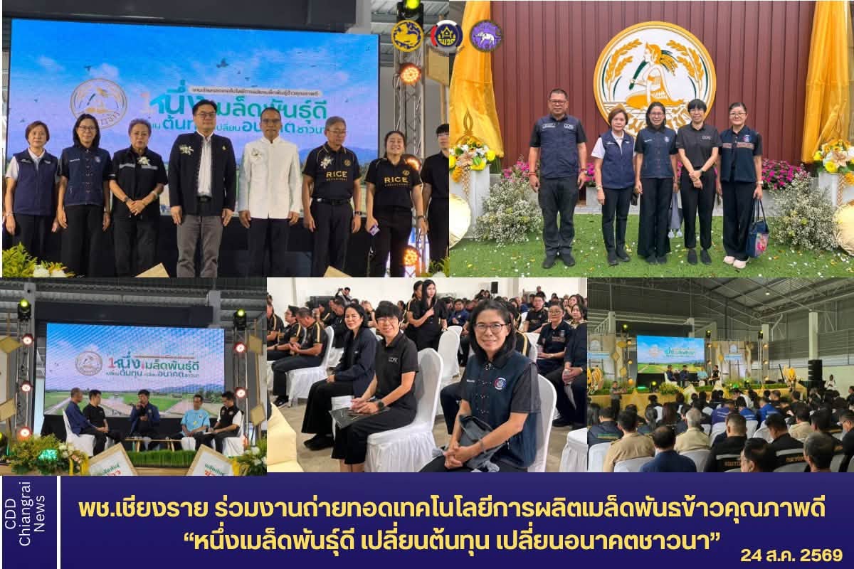 พช.เชียงราย ร่วมงานถ่ายทอดเทคโนโลยีการผลิต เมล็ดพันธุ์ข้าวคุณภาพดี “หนึ่งเมล็ดพันธุ์ดี เปลี่ยนต้นทุน เปลี่ยนอนาคตชาวนา”
